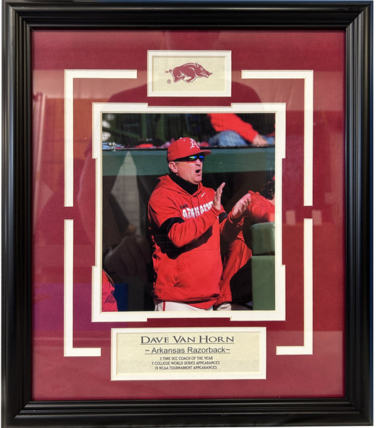 Coach Dave Van Horn Arkansas Razorbacks Baseball Framed Art 14.5" x 16.5"