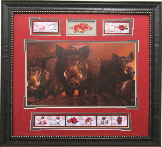 History of the Hogs Arkansas Razorbacks Team Logos Framed Art 23" x 25"