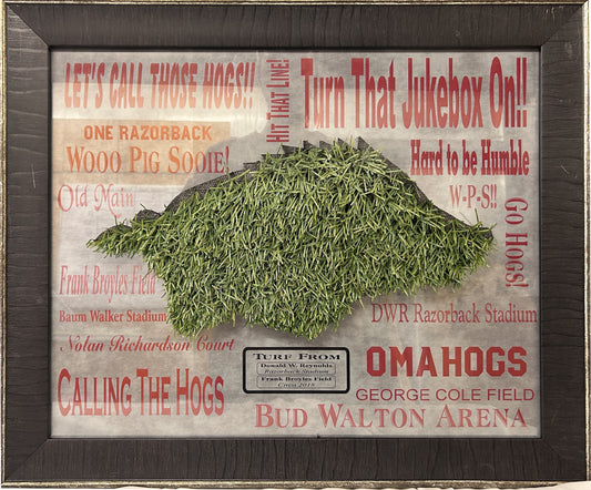 Tusk with Razorback Stadium Turf Arkansas Razorbacks Framed Art 23" x 19"