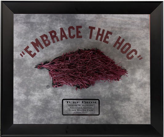 Embrace the Hog with Razorback Stadium Turf Arkansas Razorbacks Framed Art 14" x 17"