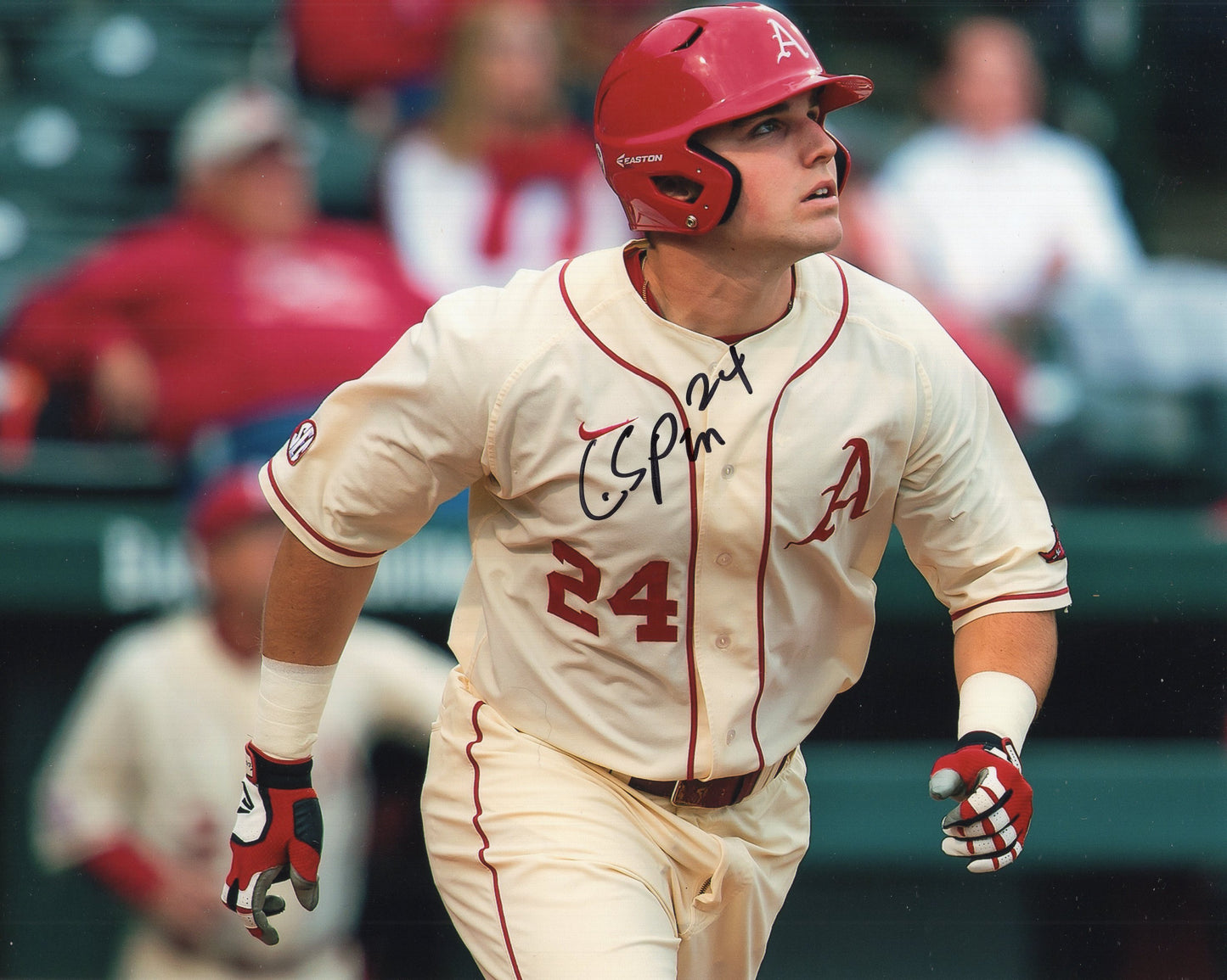 Chad Spanberger #24 Cream Jersey Autograph Photo Arkansas Razorbacks Baseball 10" x 8"