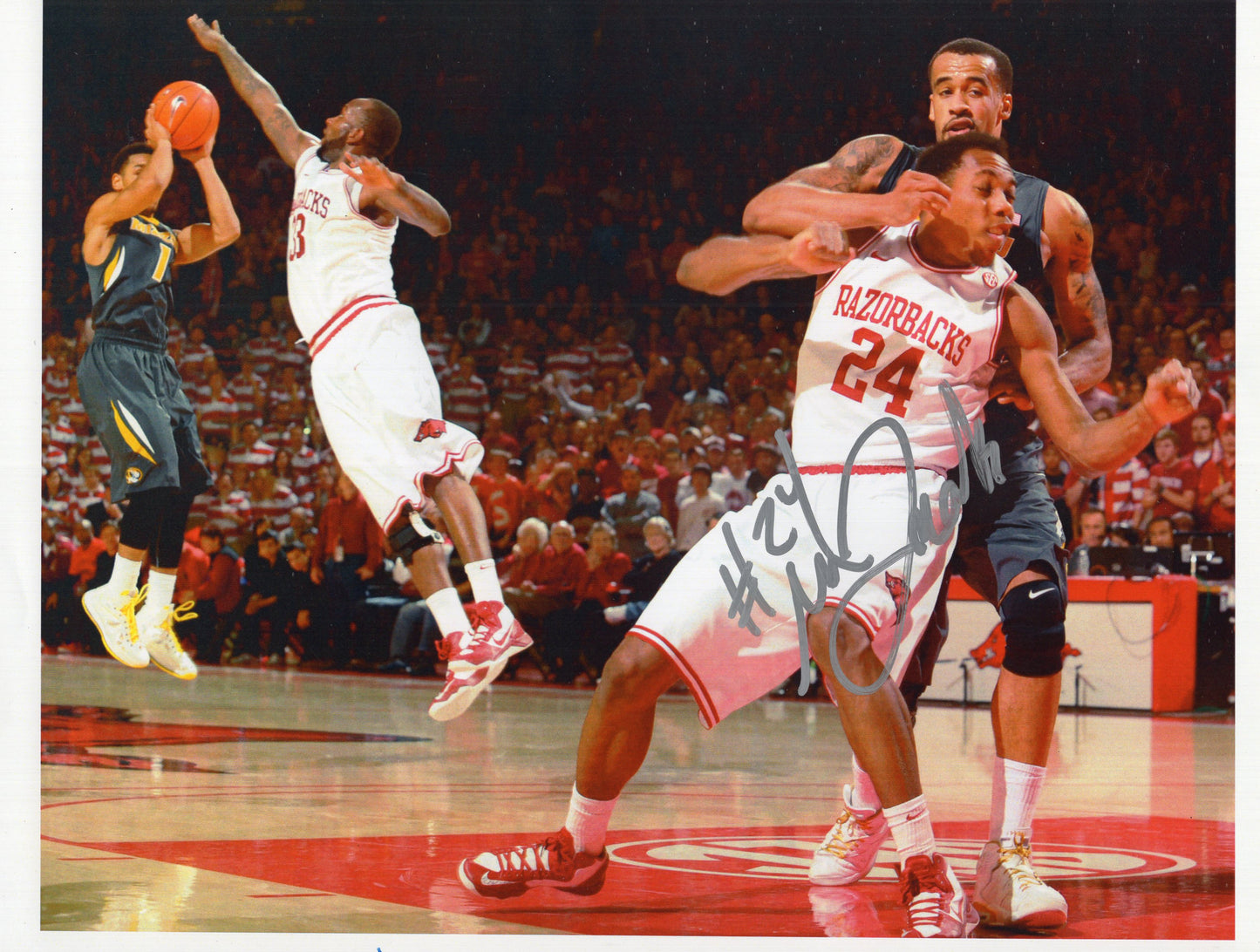 Michael Qualls #24 Autograph Photo Arkansas Razorbacks Men's Basketball 11" x 8.5"