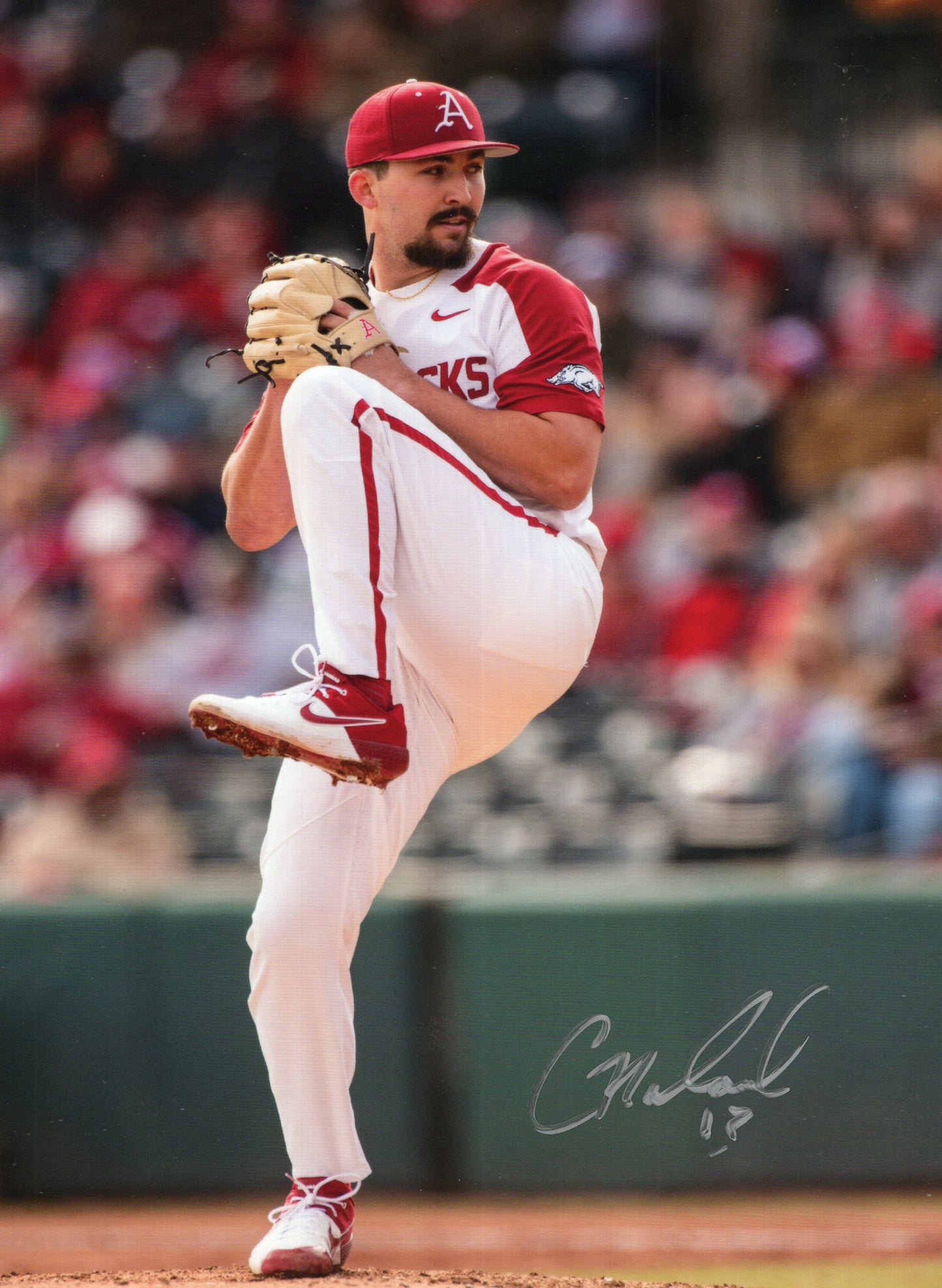 Connor Noland #13 White Jersey Windup Autograph Photo Arkansas Razorbacks Baseball 8.5" x 11"