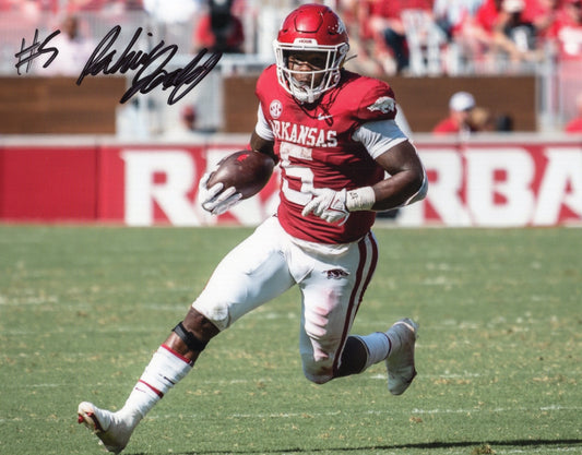 Raheim "Rocket" Sanders #5 Red Jersey Autograph Photo Arkansas Razorbacks Football 8.5" x 11"