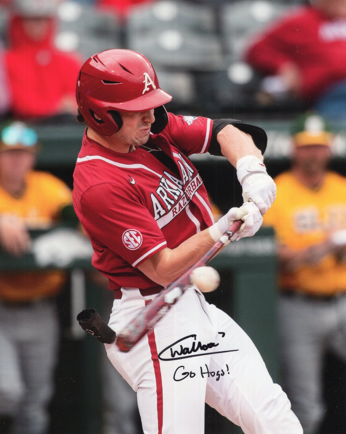 Cayden Wallace #7 Red Jersey Go Hogs Inscription Autograph Photo Arkansas Razorbacks Baseball 8.5" x 11"