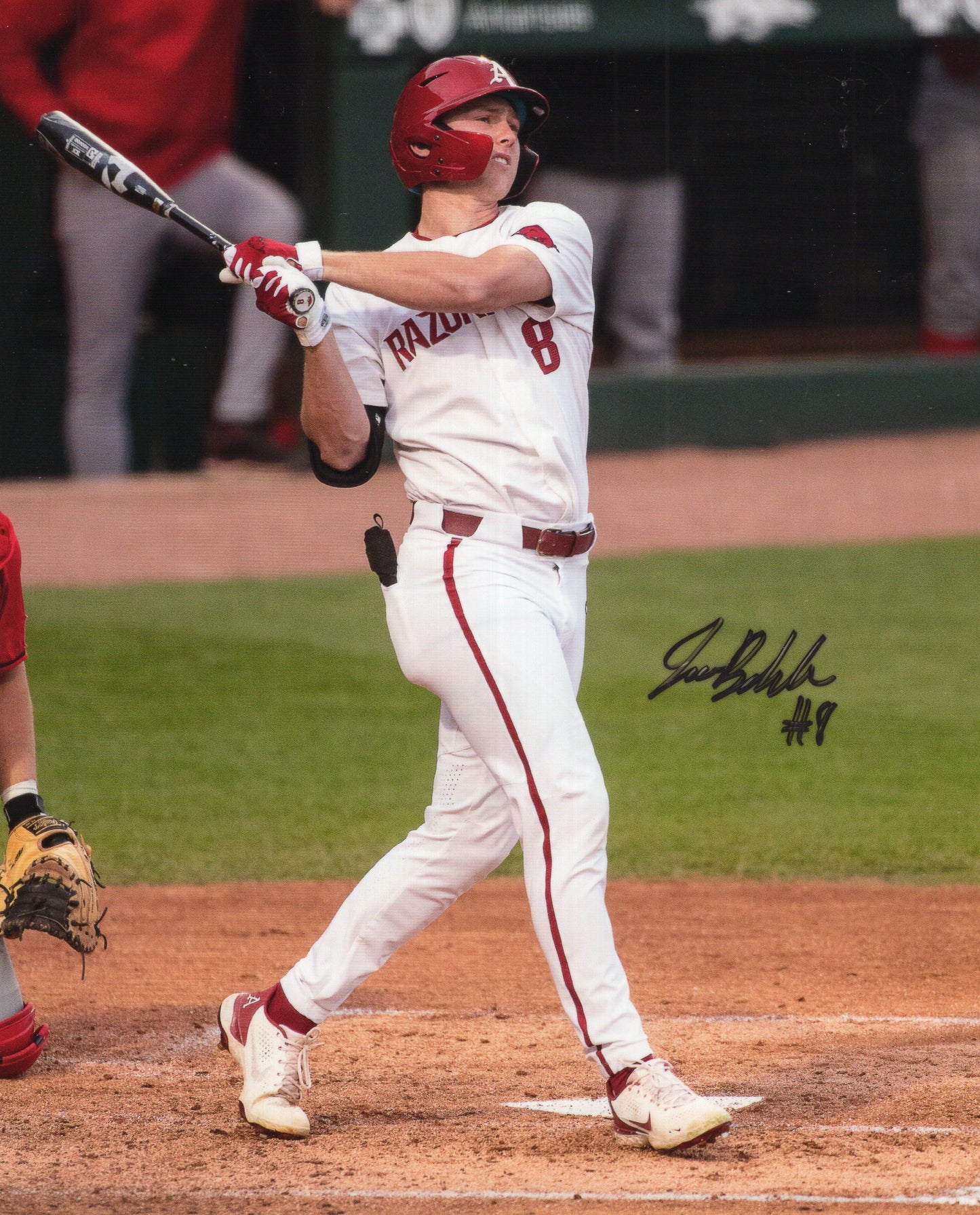 Jace Bohrofen #8 White Jersey Autograph Photo Arkansas Razorbacks Baseball 8.5" x 11"