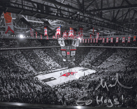 Coach Eric Musselman Bud Walton Arena Autograph Photo Arkansas Razorbacks Men's Basketball 11" x 8.5"