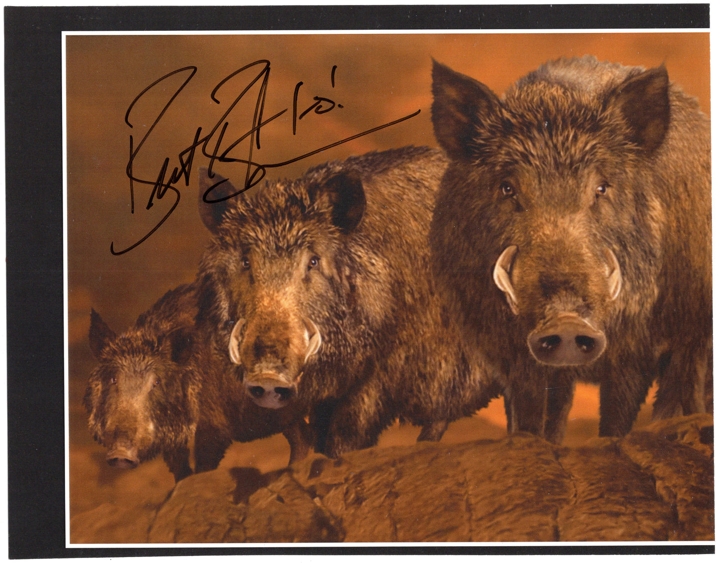 Coach Bret Bielema Hogs Mascot Autograph Photo Arkansas Razorbacks Football 9.75" x 7.5"